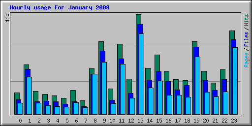 Hourly usage for January 2009